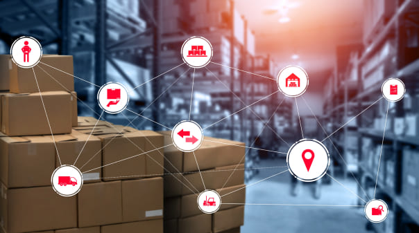 Supply Chain Disruptions